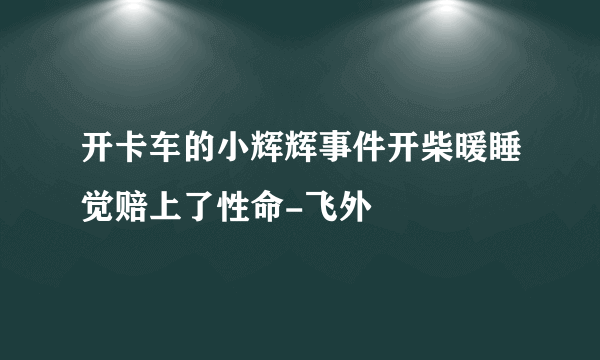 开卡车的小辉辉事件开柴暖睡觉赔上了性命-飞外