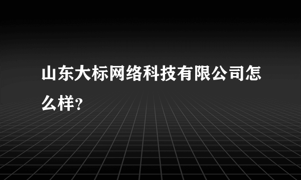 山东大标网络科技有限公司怎么样？