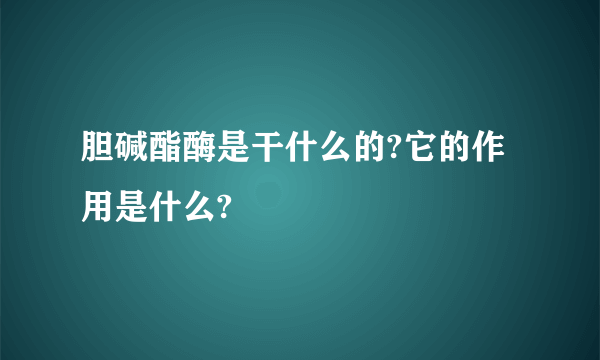 胆碱酯酶是干什么的?它的作用是什么?