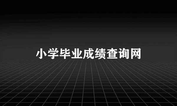 小学毕业成绩查询网