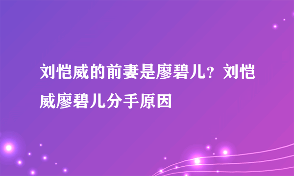 刘恺威的前妻是廖碧儿？刘恺威廖碧儿分手原因