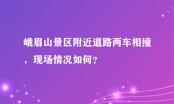 峨眉山景区附近道路两车相撞，现场情况如何？