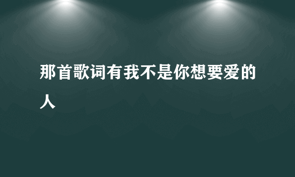 那首歌词有我不是你想要爱的人