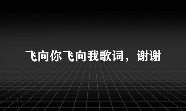 飞向你飞向我歌词，谢谢