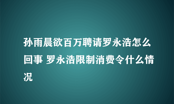 孙雨晨欲百万聘请罗永浩怎么回事 罗永浩限制消费令什么情况