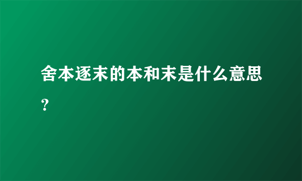 舍本逐末的本和末是什么意思？