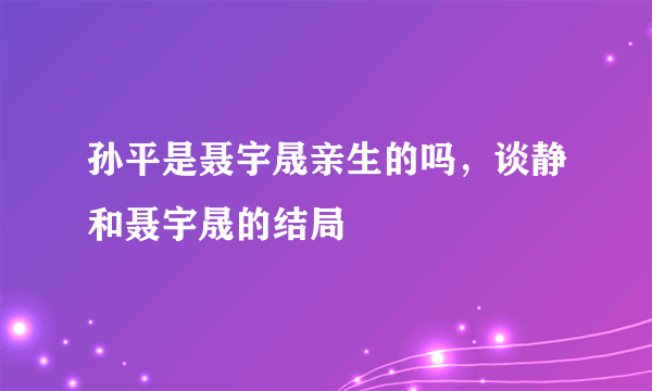 孙平是聂宇晟亲生的吗，谈静和聂宇晟的结局