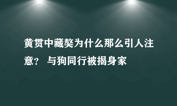 黄贯中藏獒为什么那么引人注意？ 与狗同行被揭身家