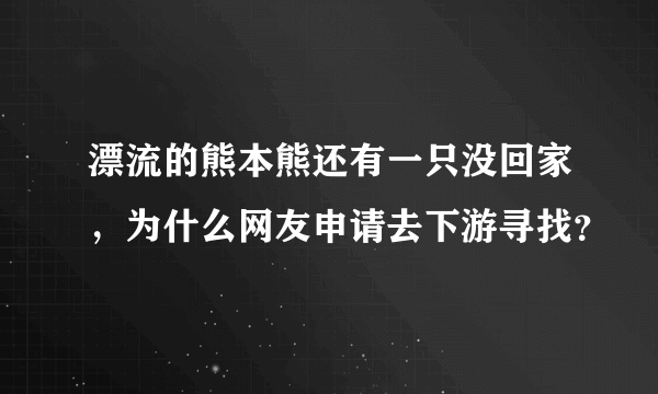 漂流的熊本熊还有一只没回家，为什么网友申请去下游寻找？