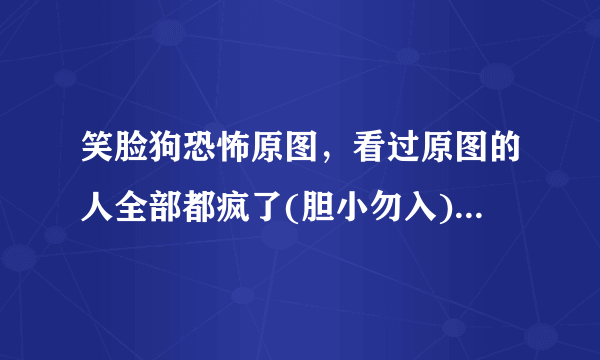 笑脸狗恐怖原图，看过原图的人全部都疯了(胆小勿入)-飞外网