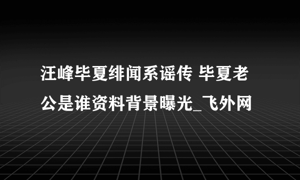 汪峰毕夏绯闻系谣传 毕夏老公是谁资料背景曝光_飞外网