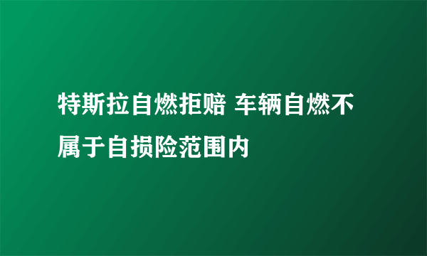 特斯拉自燃拒赔 车辆自燃不属于自损险范围内