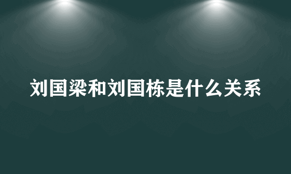 刘国梁和刘国栋是什么关系