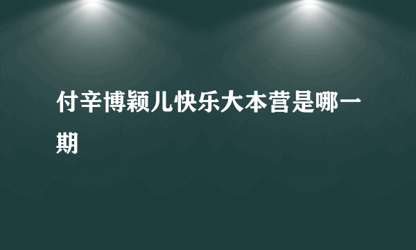 付辛博颖儿快乐大本营是哪一期