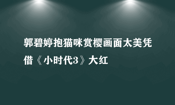 郭碧婷抱猫咪赏樱画面太美凭借《小时代3》大红