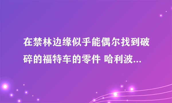 在禁林边缘似乎能偶尔找到破碎的福特车的零件 哈利波特9.29拼图寻宝攻略