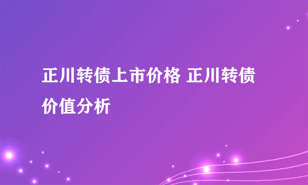 正川转债上市价格 正川转债价值分析