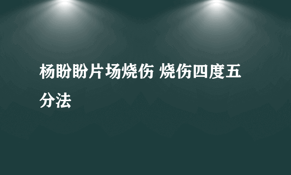 杨盼盼片场烧伤 烧伤四度五分法