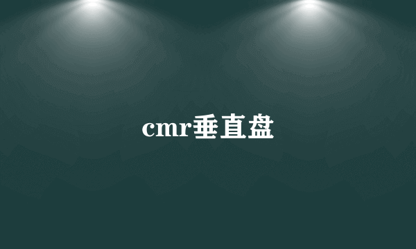 cmr垂直盘