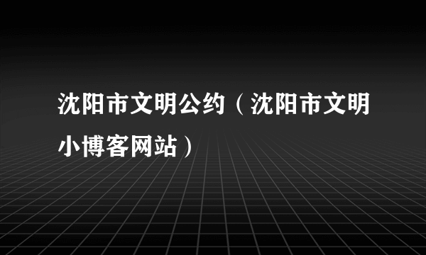 沈阳市文明公约（沈阳市文明小博客网站）