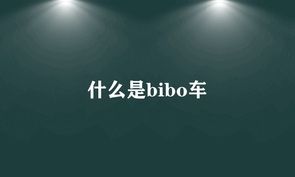 什么是bibo车