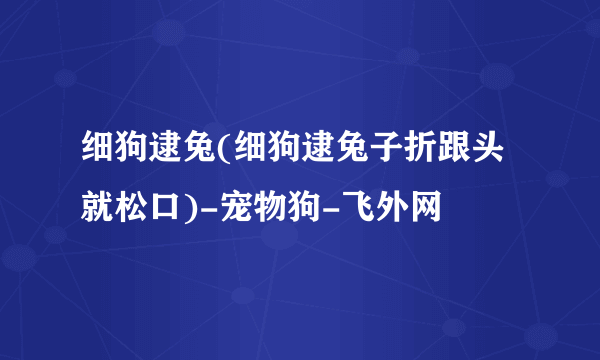 细狗逮兔(细狗逮兔子折跟头就松口)-宠物狗-飞外网