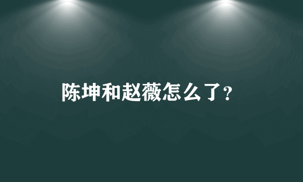 陈坤和赵薇怎么了？