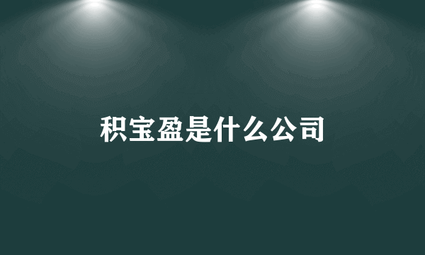 积宝盈是什么公司