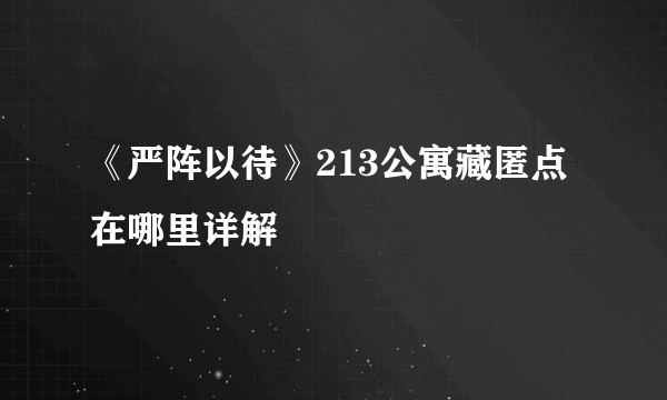 《严阵以待》213公寓藏匿点在哪里详解