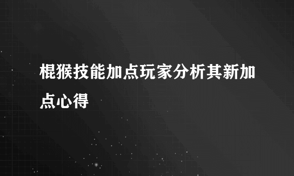 棍猴技能加点玩家分析其新加点心得