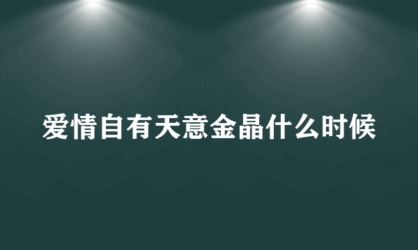 爱情自有天意金晶什么时候