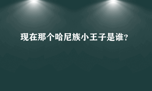 现在那个哈尼族小王子是谁？