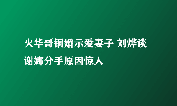 火华哥铜婚示爱妻子 刘烨谈谢娜分手原因惊人