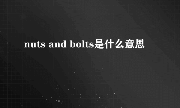 nuts and bolts是什么意思