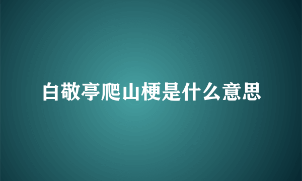 白敬亭爬山梗是什么意思