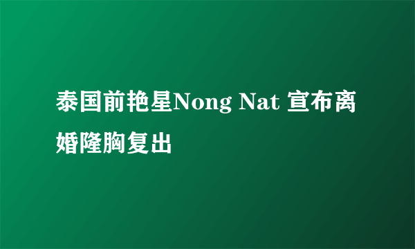 泰国前艳星Nong Nat 宣布离婚隆胸复出