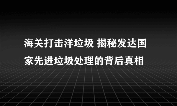 海关打击洋垃圾 揭秘发达国家先进垃圾处理的背后真相