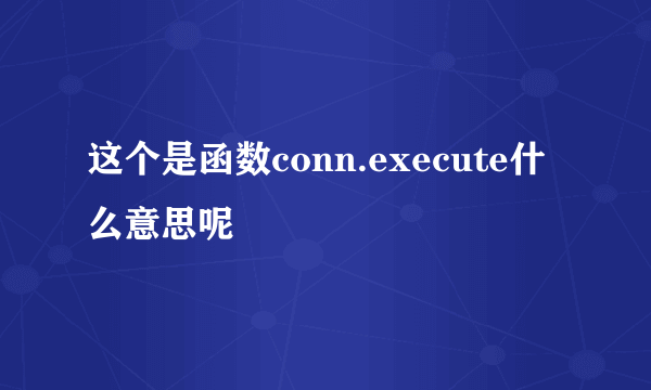 这个是函数conn.execute什么意思呢