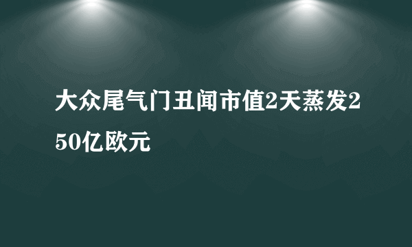 大众尾气门丑闻市值2天蒸发250亿欧元