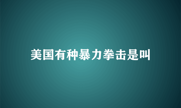 美国有种暴力拳击是叫