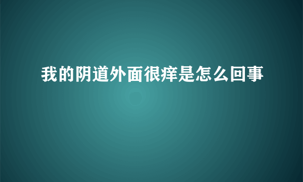 我的阴道外面很痒是怎么回事