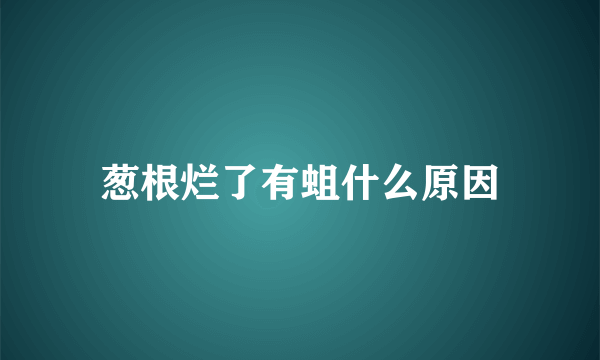 葱根烂了有蛆什么原因