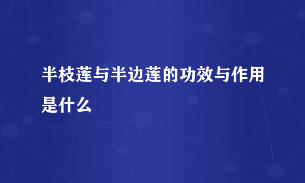 半枝莲与半边莲的功效与作用是什么