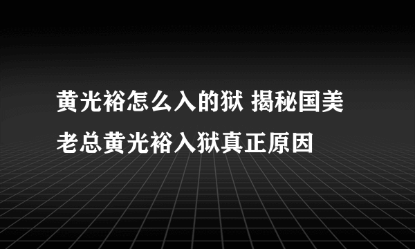 黄光裕怎么入的狱 揭秘国美老总黄光裕入狱真正原因