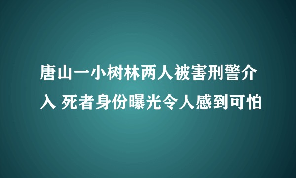 唐山一小树林两人被害刑警介入 死者身份曝光令人感到可怕