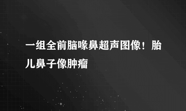 一组全前脑喙鼻超声图像！胎儿鼻子像肿瘤