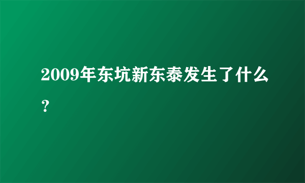 2009年东坑新东泰发生了什么？