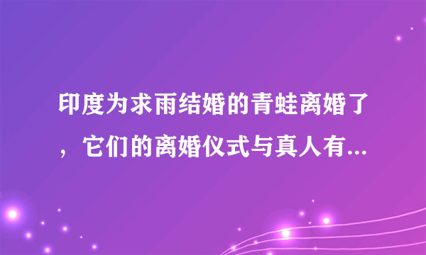 印度为求雨结婚的青蛙离婚了，它们的离婚仪式与真人有什么区别？