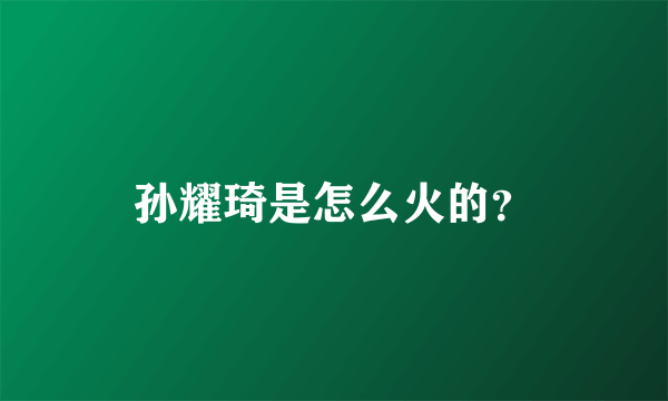 孙耀琦是怎么火的？