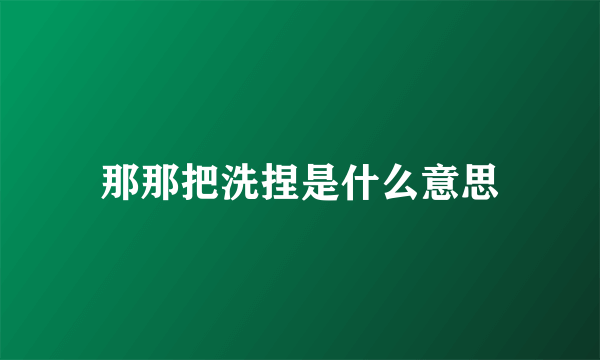 那那把洗捏是什么意思